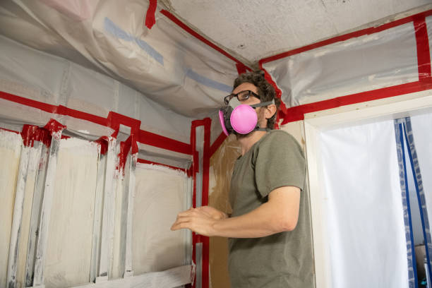 Mold Odor Removal Services in Franklin Center, NJ