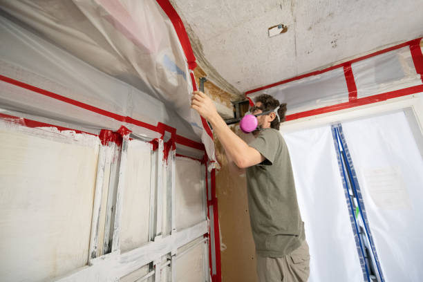 Best Emergency Mold Remediation  in Franklin Center, NJ