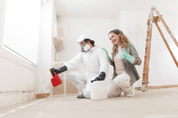 Franklin Center, NJ Mold Inspection, Removal & Remediation Company