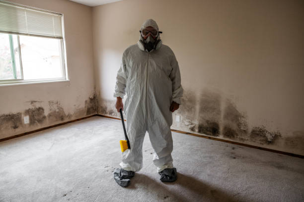 Best Commercial Mold Inspection  in Franklin Center, NJ